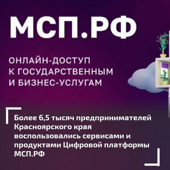 Более 6,5 тысяч предпринимателей края воспользовались сервисами и продуктами Цифровой платформы МСП.РФ.